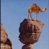 ayob_5
