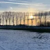 fraukede