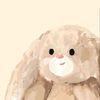 ara_celichs