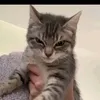 zackyzz04