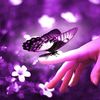 yasmina2341