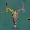 tiktok_m_d_a