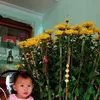 monsterbinhdinh