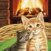 thebookishfaery