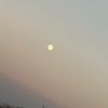 haarissheikh707