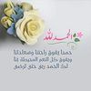 dorsafabachi