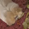 bestnana123004