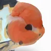 sqquids_x