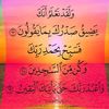 mahmoudgamal8408