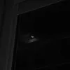 the_sami1