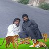 nomikhan8880