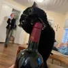 lotti_816