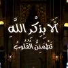 mido_730