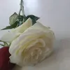 mustaphaaziz4