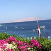 linda_6326