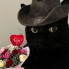 theflspecial