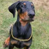 maximus_the_dobermann