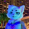 auroramrowr