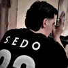 sedo_22s