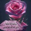 user63440306229163