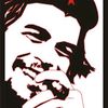 kamilabdinov1