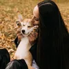 corgimom.alntz