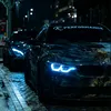 the_king_972