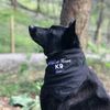 nicolesdoglife