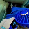 sunflowerst06