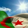 abouhaithamsadek