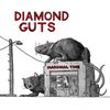diamondgutpicks