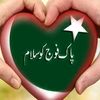 saifdhandla786