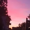nora_vass4