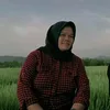 mekha775