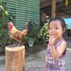 aut_kittiwin
