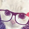 cathyfoque