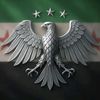 mahmoodalmohamed1