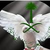 user1151533