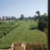 mostafa.mady219