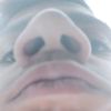 avibamba