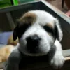 bearbeerkung