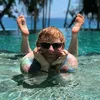 fattllama01