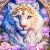 user5sa7qyyc92