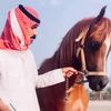 الفارس احمد العويمري🐎🌹
