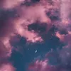 rose_jimin24