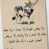 haya_11223