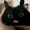 nienna.telemar