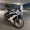 bumblebee.r6