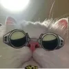 joyjoydigjoy