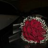 aloosh_381